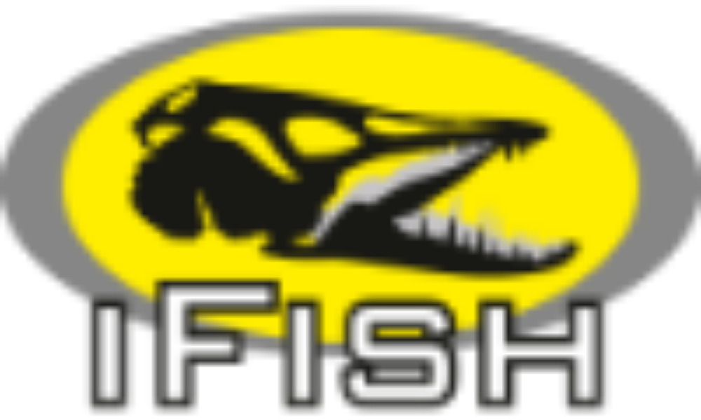 Bild på Pioneer Combo