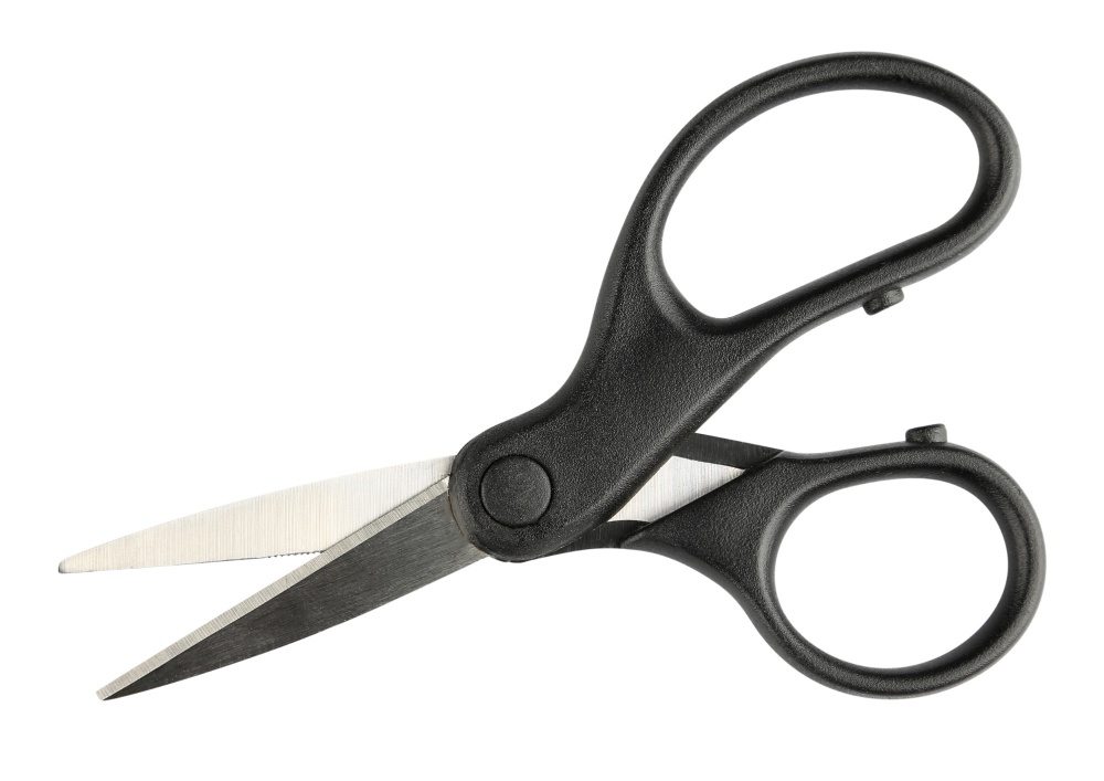 Bild på Braid Scissors