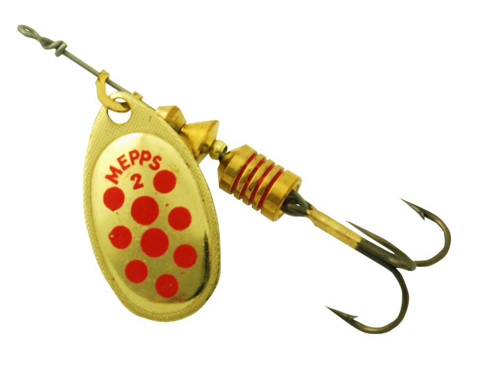 Bild på Aglia 2 med prickar