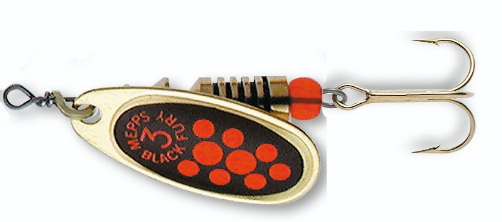 Bild på Black Fury 1