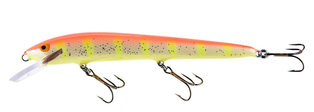 Bild på Invincible Pro 18cm