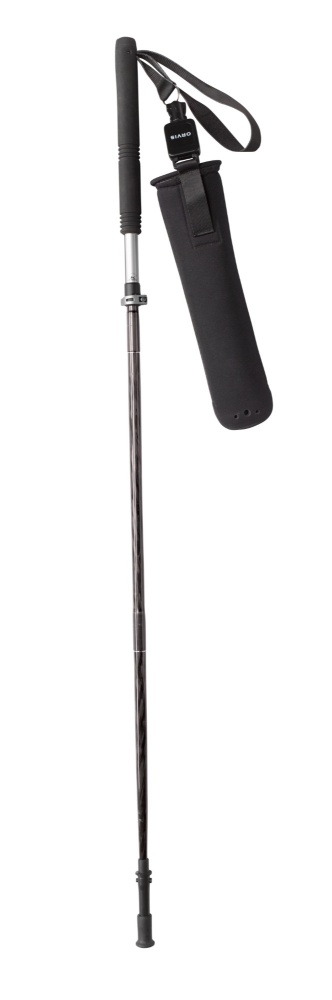 Bild på Wading Staff