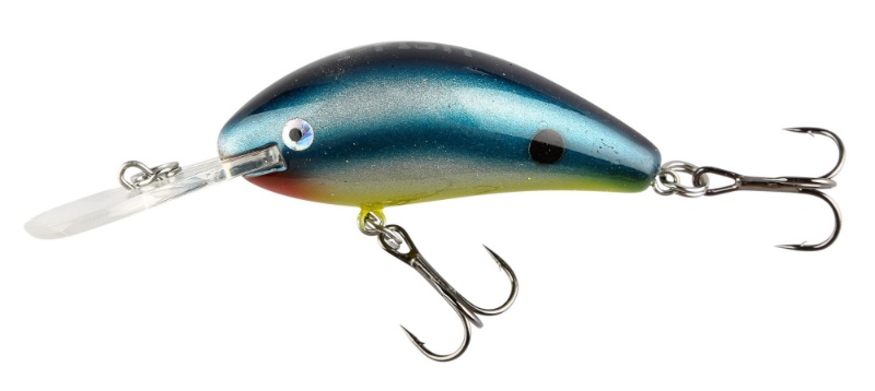 media.product.imagealternatetextformat.details